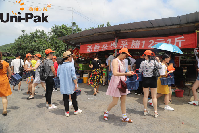 瑜利包裝員工采摘楊梅